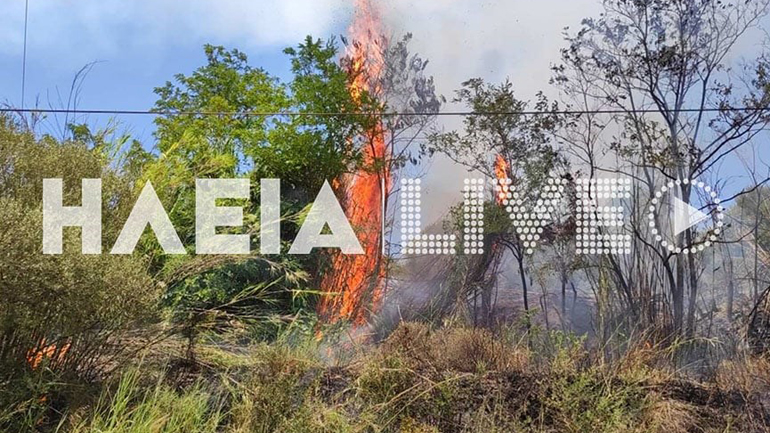 Στον ανακριτή ο ύποπτος για εμπρησμό στην Αρχαία Ολυμπία